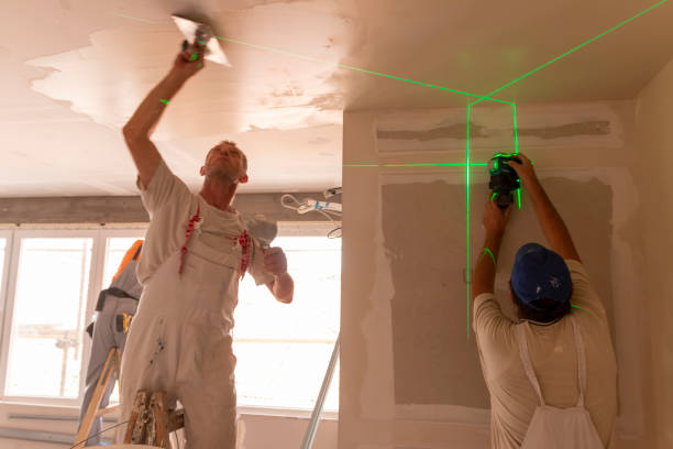 Best Ceiling Drywall Installation  in Brookridge, FL